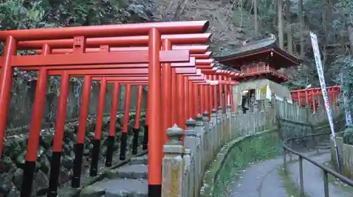 狸谷山不動院の鳥居