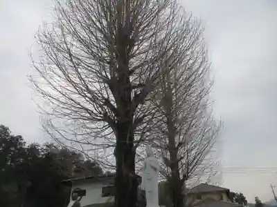 圓福寺(埼玉県)