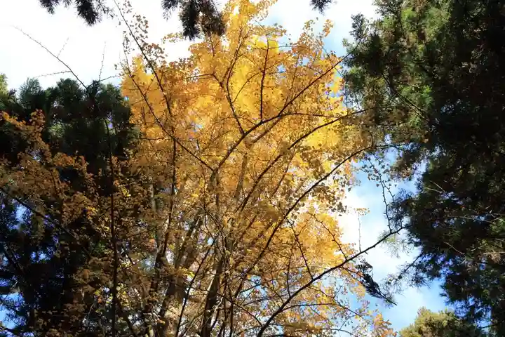王子神社の自然