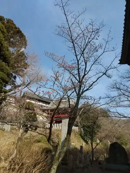 楽法寺(雨引観音)(茨城県)