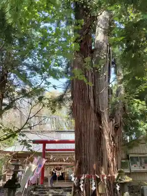 磐椅神社(福島県)