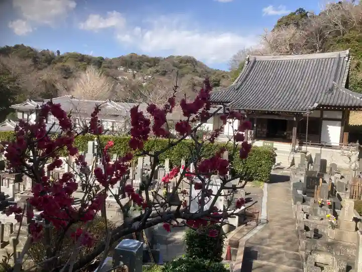 来迎寺(西御門)(神奈川県)