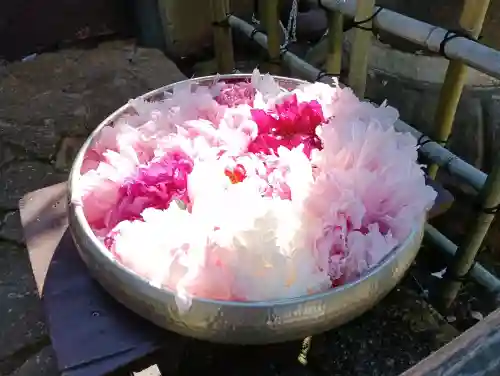 上野東照宮の{uncategorized: "未分類", other: "その他", undefined: "問題あり", building: "その他建物", grave: "お墓", sacred_gate: "鳥居", guardian: "狛犬", statue: "像", buddha: "仏像", history: "歴史", nature: "自然", garden: "庭園", animal: "動物", pagoda: "塔", temizu: "手水舎", mountain_gate: "山門・神門", sanctuary: "本殿・本堂", subordinate: "末社・摂社", art: "芸術", scenery: "景色", jizo: "地蔵", ema: "絵馬", goshuin: "御朱印", omikuji: "おみくじ", items: "授与品その他", amulet: "お守り", goshuincho: "御朱印帳", eats: "食事", festival: "お祭り", votive_dance: "神楽", shichigosan: "七五三参", wedding: "結婚式", experience: "体験その他", initially: "初詣", around: "周辺", anti_infection: "感染症対策"}