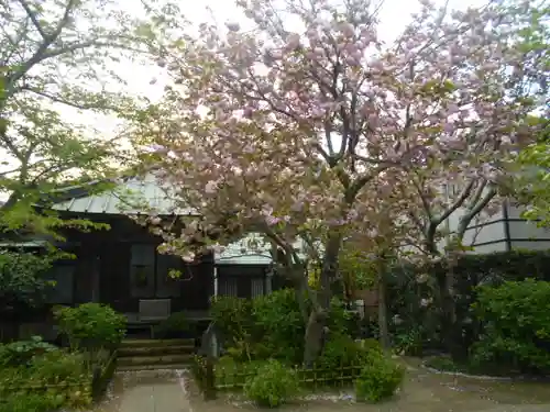 極楽寺（霊鷲山感應院極楽律寺）のその他建物