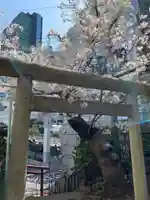 上目黒氷川神社の鳥居