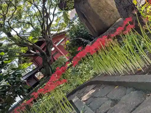 法栄寺(千葉県)