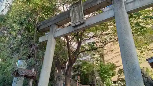 雉子神社の鳥居