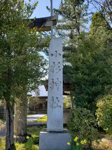 小杉神社の建物その他