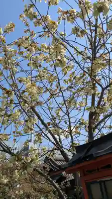 六孫王神社(京都府)
