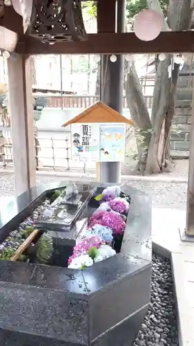 新琴似神社の手水