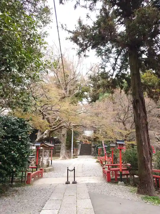 間々田八幡宮(栃木県)