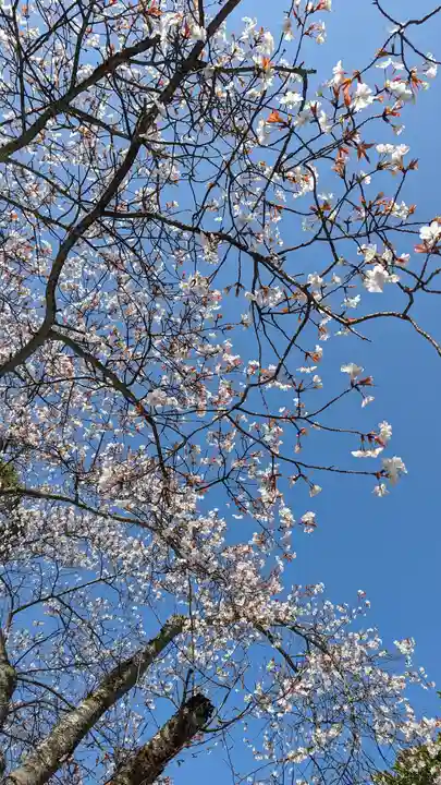 今熊野観音寺(京都府)