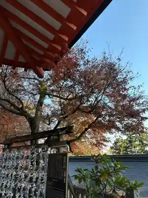 高尾山薬王院(東京都)