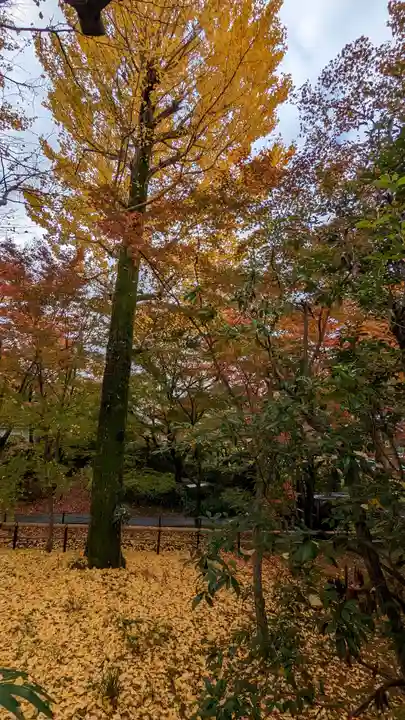 真正極楽寺(真如堂)(京都府)