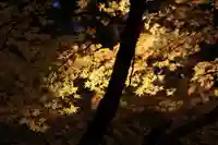 磐椅神社の自然