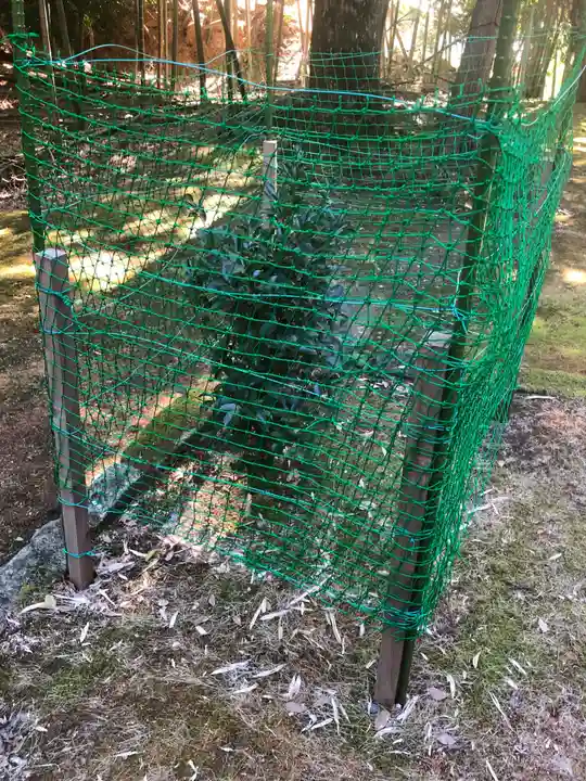 多田神社の自然