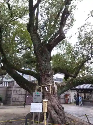難波神社(大阪府)