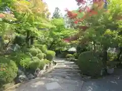 正法寺(京都府)