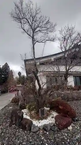 秋葉山本宮 秋葉神社 上社(静岡県)