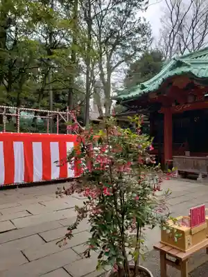 赤坂氷川神社(東京都)