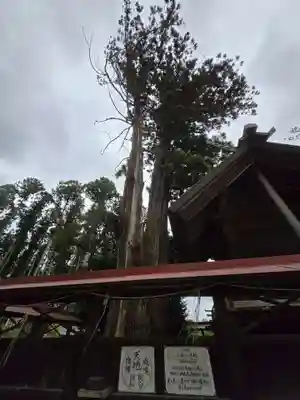 鹿嶋三嶋神社(茨城県)