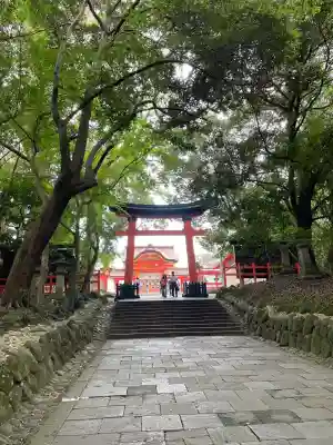 宇佐神宮(大分県)