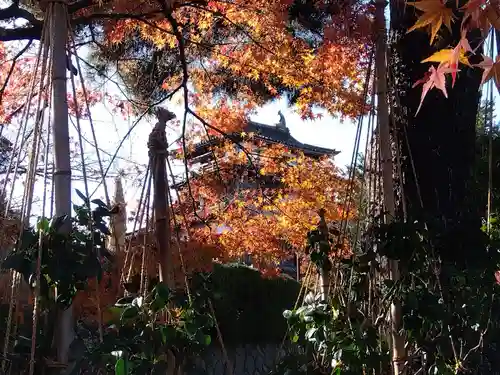 丸岡城八幡神社(福井県)