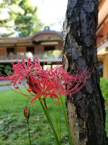 妙法寺(東京都)
