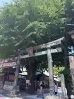 湯島天満宮(東京都)