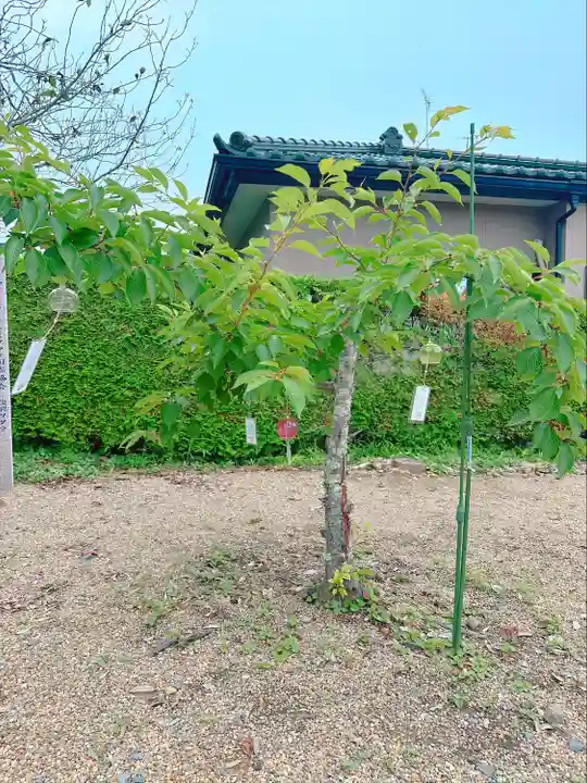 鹿島台神社(宮城県)