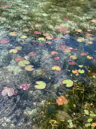 根道神社(岐阜県)