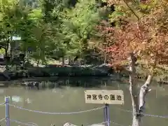 伊香具神社の庭園