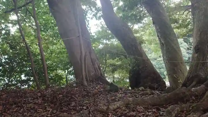 熊野神社(稲取)(静岡県)