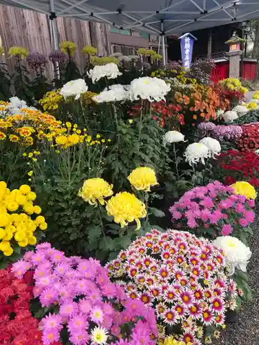 青井阿蘇神社(熊本県)