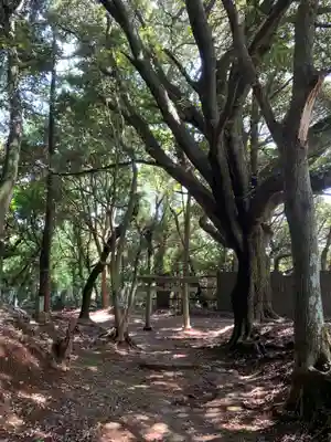 稲生大神(千葉県)