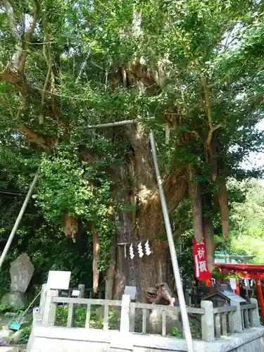 海南神社のその他建物
