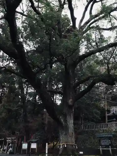 事任八幡宮(静岡県)