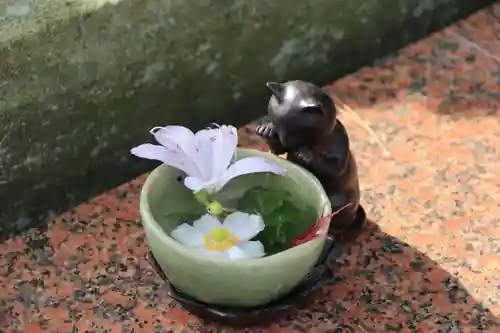 開成山大神宮の手水