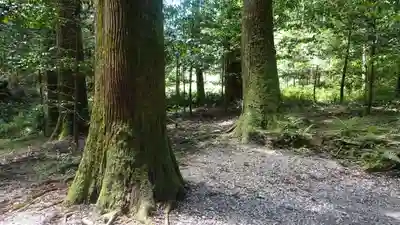 霧島神宮(鹿児島県)