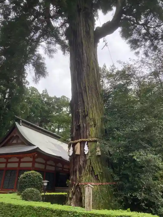 香取神宮の自然