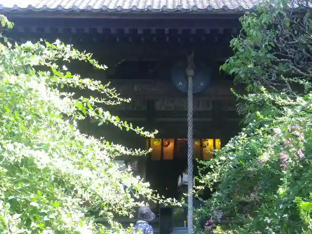 宝戒寺の自然