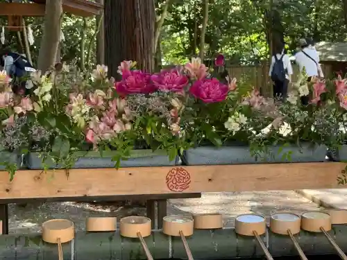 武蔵一宮氷川神社(埼玉県)