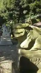 菊田神社の狛犬