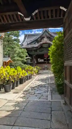 行願寺（革堂）(京都府)