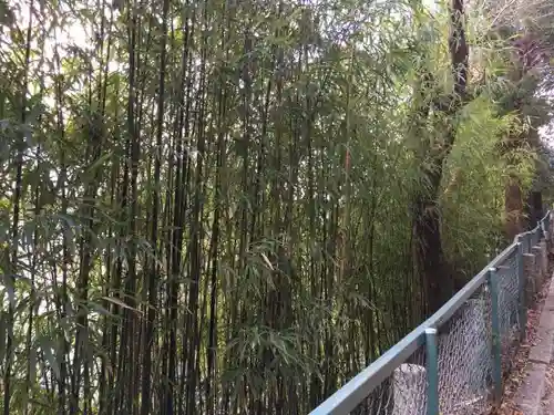 石清水八幡宮の自然