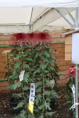 高麗神社のその他建物