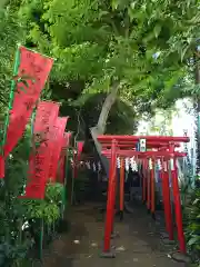 白玉稲荷大明神・セキセキ稲荷大明神の鳥居