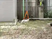 上落合神明神社(埼玉県)