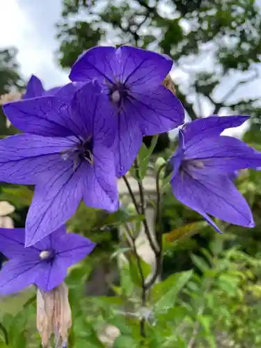 天鏡院(京都府)