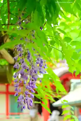 戸部杉山神社(神奈川県)